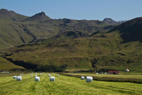 a group of white hay bales in a field with mountains at Ásólfsskáli Cottage in Ásólfsskáli