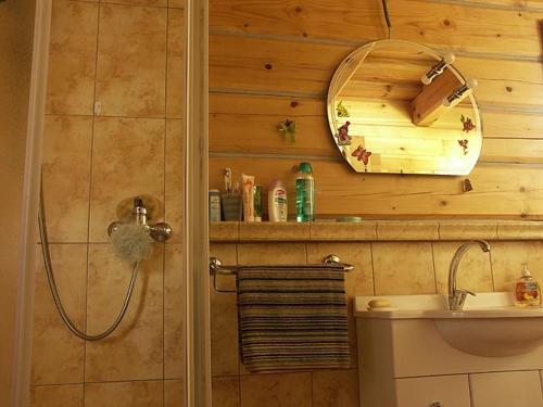 een badkamer met een douche, een wastafel en een spiegel bij Dvor Magduška in Osturňa