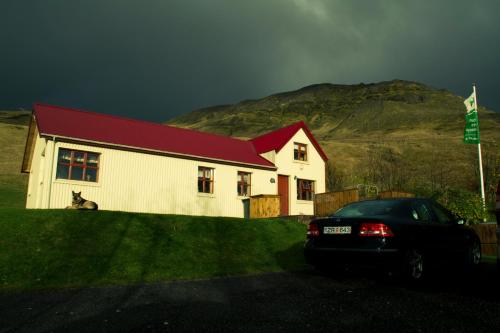 a car parked in front of a house with a cat at Ásólfsskáli Cottage in Ásólfsskáli