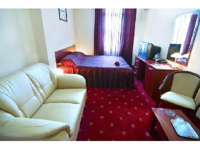 a living room with a couch and a bed at Hotel Ary in Cluj-Napoca