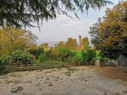 Radici b&b – Photos 2