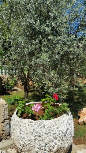 a stone planter with flowers in front of a tree at Apartments Seka in Risika