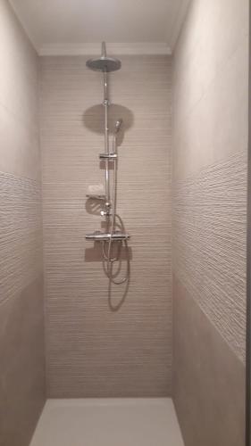 une douche dans une salle de bain avec une pomme de douche dans l'établissement Le vieux presbytère, à Confracourt