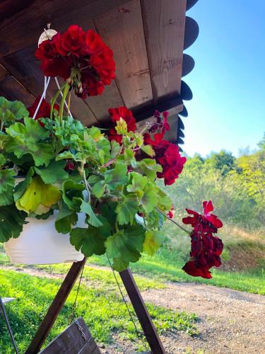a potted plant sitting on a stand in the grass at Pensiunea Ioana in Poeni