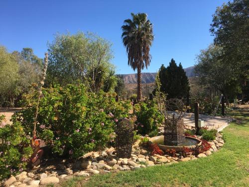 a garden with a palm tree and a fountain at Karoo Life B&B in Calitzdorp