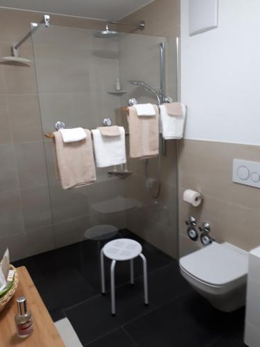 uma casa de banho com um WC e um chuveiro com toalhas em Bad Säckingen - Sie werden sich hier wohl fühlen em Bad Säckingen