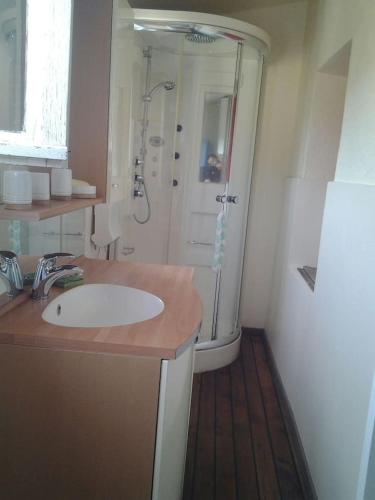 La salle de bains est pourvue d'une douche et d'un lavabo blanc. dans l'établissement Maison de village, à Moltifao