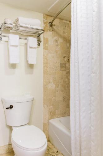 a bathroom with a toilet and a shower curtain at Hillside Boutique Hotel in Castroville