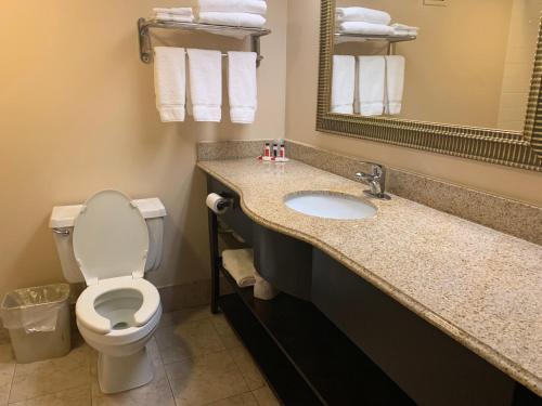 a bathroom with a toilet and a sink and a mirror at Ramada by Wyndham Gainesville in Gainesville