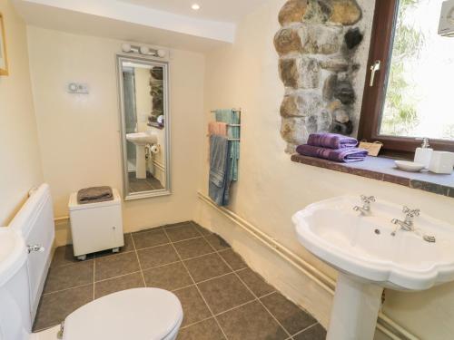 a bathroom with a sink and a toilet at Melin Bach in Llanfihangel-y-pennant
