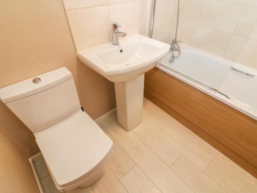 a bathroom with a white toilet and a sink at Willow Lodge in Windermere
