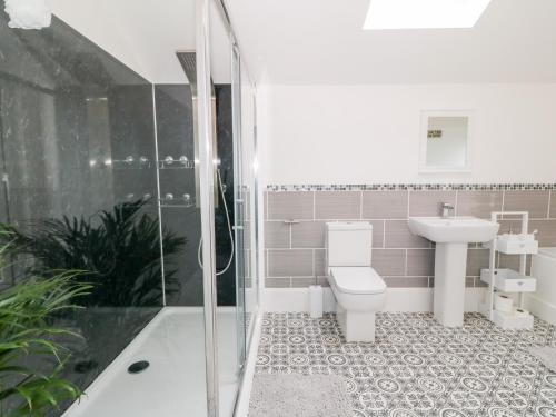 a bathroom with a toilet and a sink and a shower at Lyngaran House in Holyhead