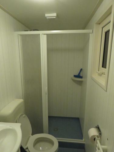 a bathroom with a shower with a toilet and a sink at Chalet Seazon R23 in Buren