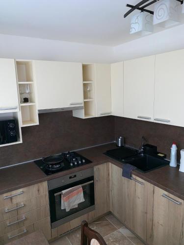 a kitchen with a stove and a sink at Apartament TT10 Botanicka in Trnava