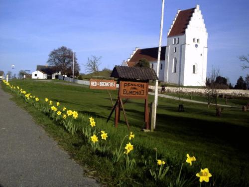 a field of yellow flowers in front of a church at Pension Elmehøj in Hjertebjerg