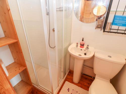 a bathroom with a shower and a toilet and a sink at The Lodge in Milford Haven