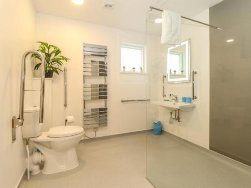 a bathroom with a toilet and a shower and a sink at Rowan in Truro