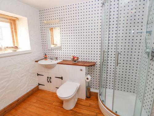 a bathroom with a toilet and a sink and a shower at Bluebell Cottage in Milford Haven