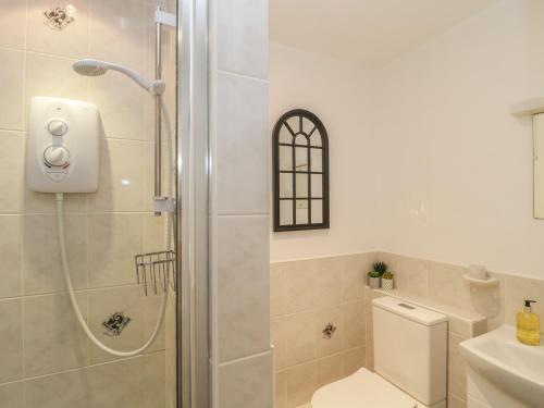 a bathroom with a shower and a toilet and a sink at Orchard Annexe in Lymington