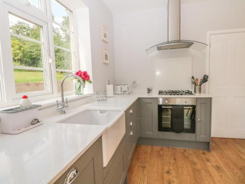 a white kitchen with a sink and a stove at Ingledene in Highpeak Junction