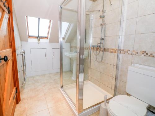 a bathroom with a shower and a toilet and a sink at Dysynni in Tywyn