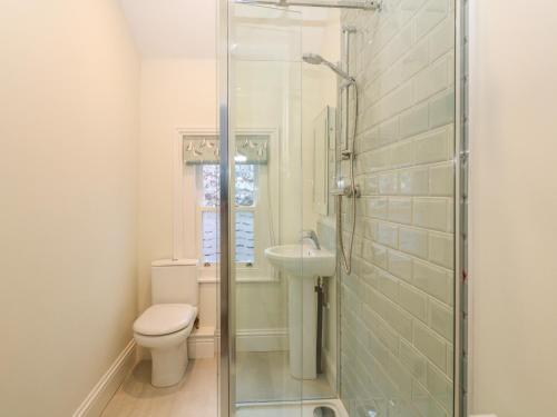 a bathroom with a shower and a toilet and a sink at 11 Marine Terrace in Criccieth