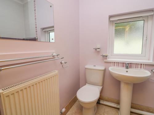 a bathroom with a toilet and a sink and a window at Hen Brynbedw in Llanybyther