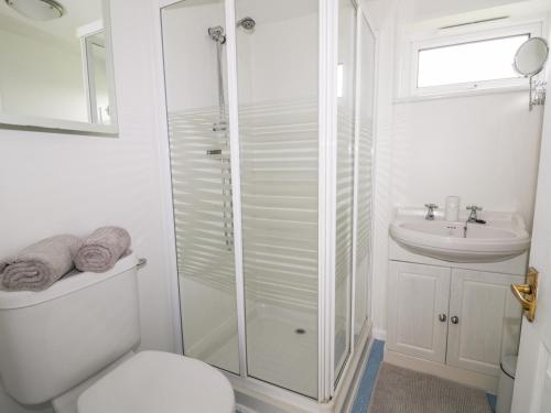 a bathroom with a shower and a toilet and a sink at Thirley Beck Lodge in Scarborough