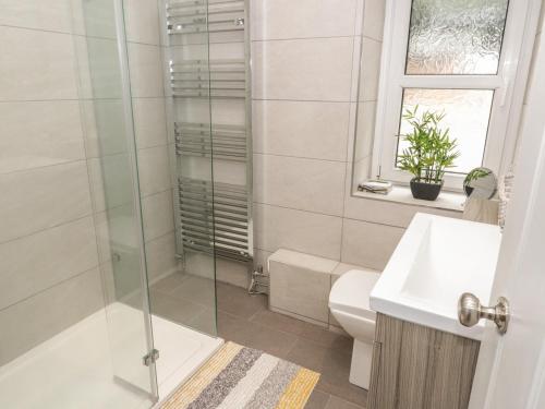 een badkamer met een douche, een toilet en een wastafel bij Cae Bach in Penmaen-mawr
