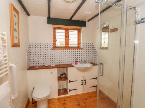 ein Badezimmer mit Dusche, Toilette und Waschbecken in der Unterkunft Cowslip Cottage in Milford Haven