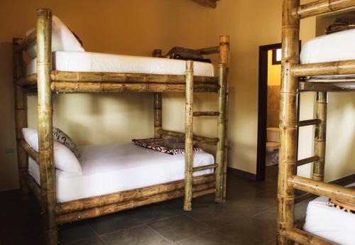 a group of bunk beds in a room at Paradise Project Hostal in Montañita