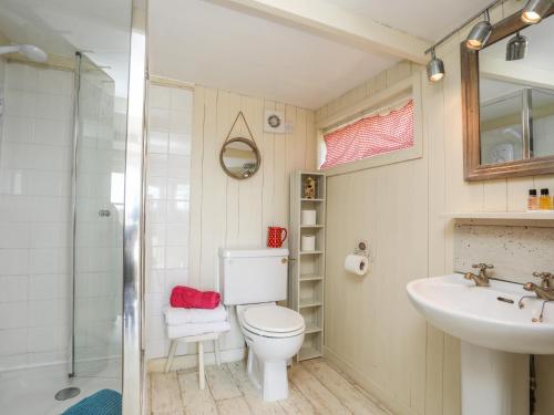 een badkamer met een toilet, een wastafel en een douche bij Songbird Hideaway in Pwllheli