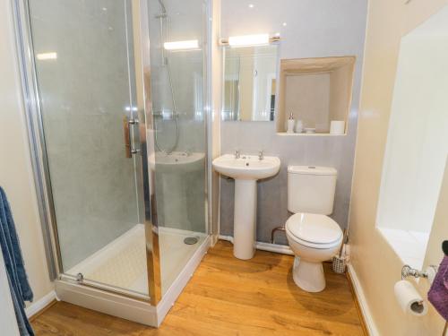 Un baño con ducha, inodoro y lavabo. en Bwthyn Pennant, en Llanfihangel-y-pennant