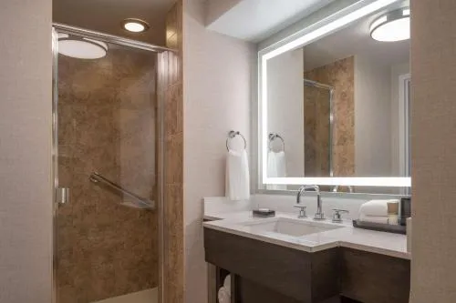 Hyatt Regency Orlando International Airport Hotel photo 14