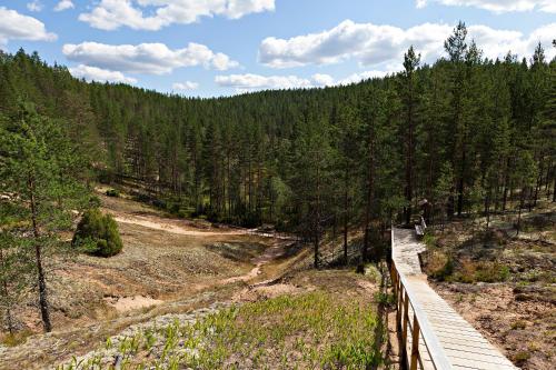 a wooden boardwalk in the middle of a forest at Rokua Health & Spa in Rokua