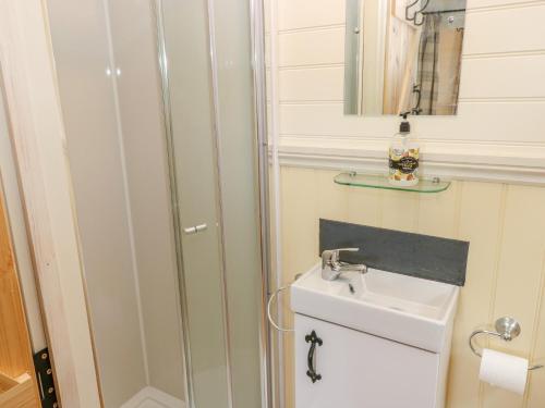 a bathroom with a sink and a shower at Shepherds Hut - The Crook in Milford Haven