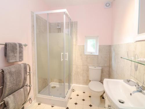 La salle de bains est pourvue d'une douche, de toilettes et d'un lavabo. dans l'établissement The Roost, à Camborne