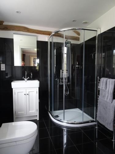 Redlynch Lodge في Redlynch: حمام مع دش ومرحاض ومغسلة