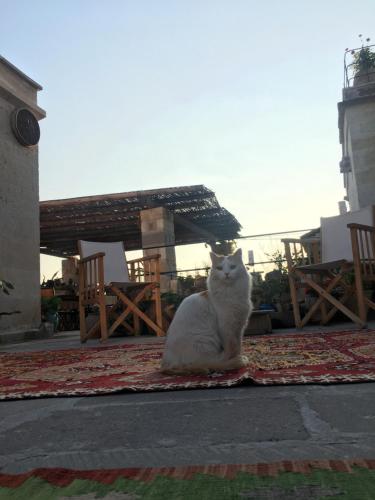 ウチヒサールにあるMaze Of Cappadocia Hotelのギャラリーの写真
