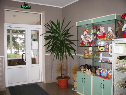 una habitación con un estante con juguetes y una planta en Almaz-Plus en Poltava