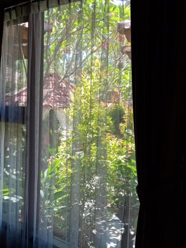 a window with a view of a tree at ZiFa Mandalika in Kuta Lombok