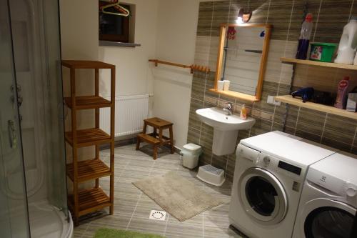 a bathroom with a washing machine and a sink at Apartmán Třebenice - vstupní brána do Českého středohoří in Třebenice
