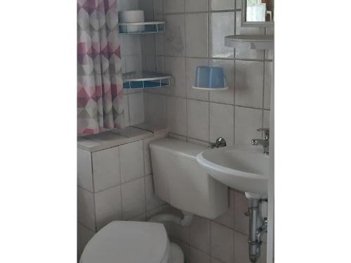 łazienka z toaletą i umywalką w obiekcie Gerda's Ferienhäuser w mieście Eppenschlag