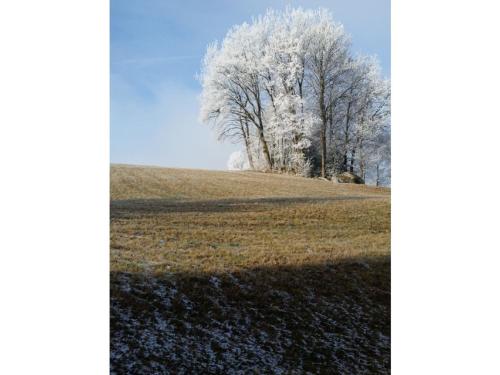 Fotografie z fotogalerie ubytování Gerda's Ferienhäuser v destinaci Eppenschlag