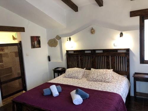 康塞普西翁新鎮的住宿－Finca amorosa，一间卧室配有一张带两个枕头的床