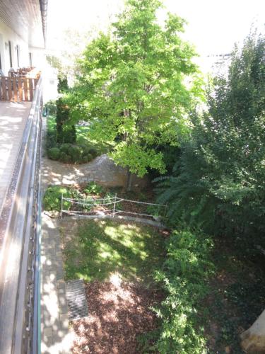 an overhead view of a yard with a tree at Pension Lang in St. Andrä am Zicksee