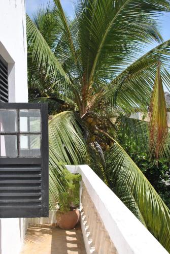 a palm tree sitting next to a white building at Shella White House in Lamu