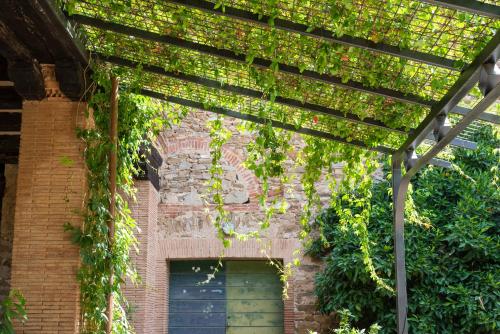 a pergola with green ivy on a brick building at Fattoria Pian Di Rocca in Castiglione della Pescaia