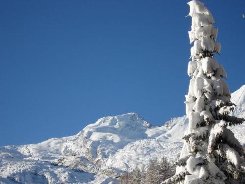 a snow covered tree with a mountain in the background at Apartment Acimo by Interhome in Saas-Fee