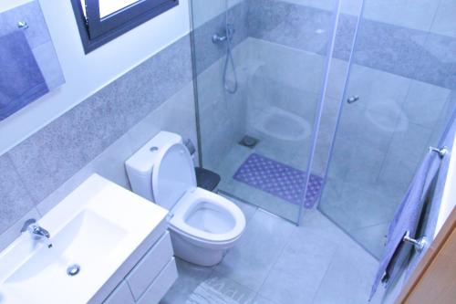 a bathroom with a shower and a toilet and a sink at Studio Two | Massapez | Fajã da Ovelha | Calheta in Fajã da Ovelha
